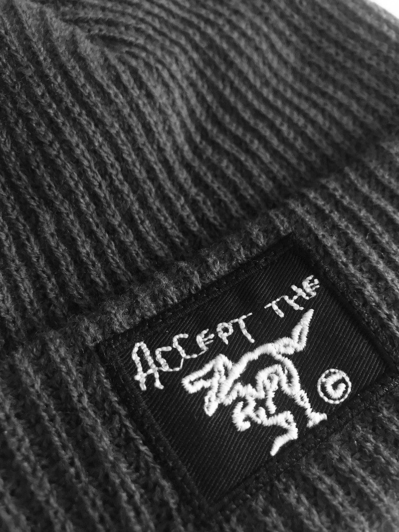 Beanie ATE Grey “Accept the error”